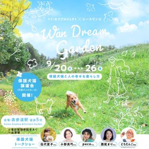 668ca0b6106ef0f0b278cfe89e271056