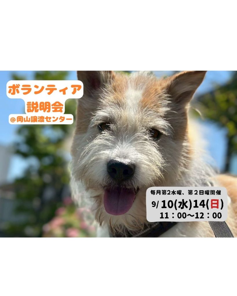 4717dec2c6c486886b14598c0e78d569