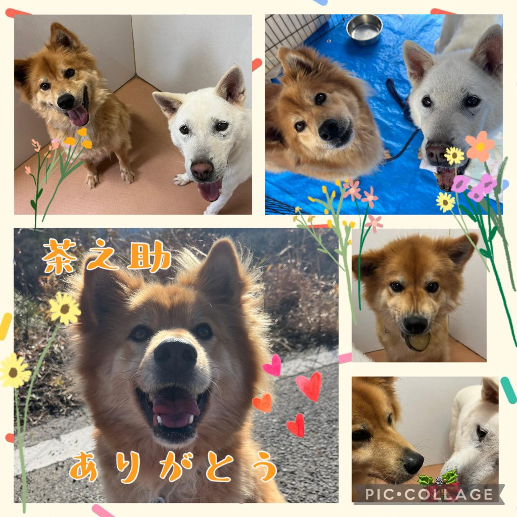 a979f8638c437a458d5a49abd9a6d310 1