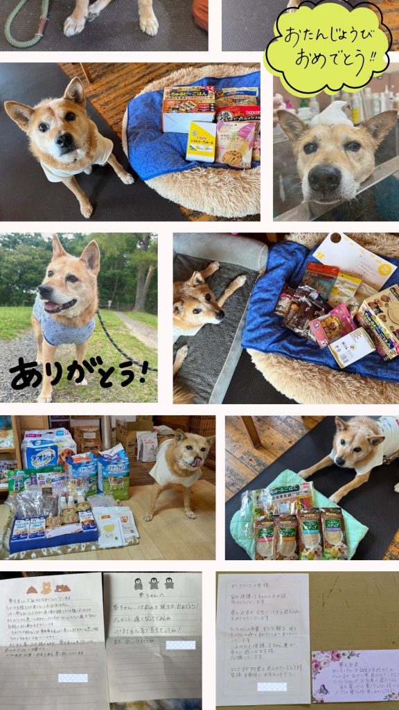 922183134074549e1fbbcc3c89f898e5