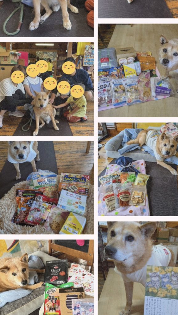 086523a4d0e220aad010a569072915dd