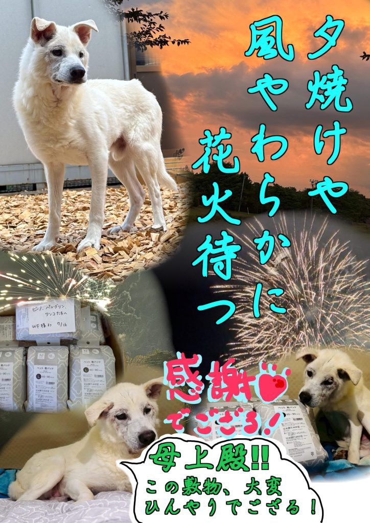 b61a2ced515f9272bd8ec53bdf843539 1