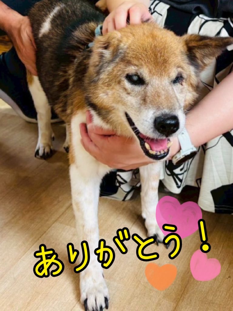 4b7148a700dde219b688ede98e2845e0