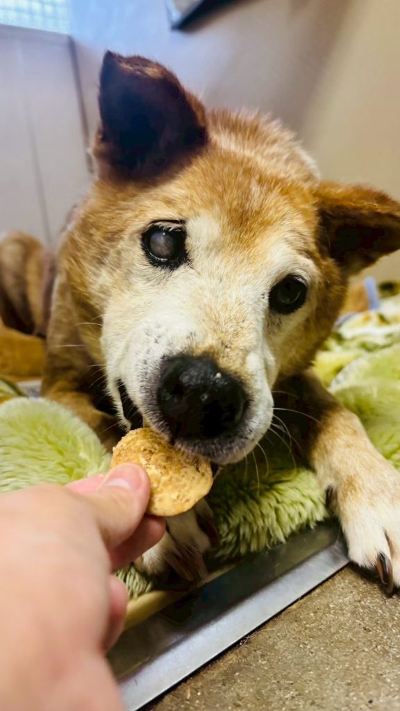 0996a2996911ada57658338813cb8c85