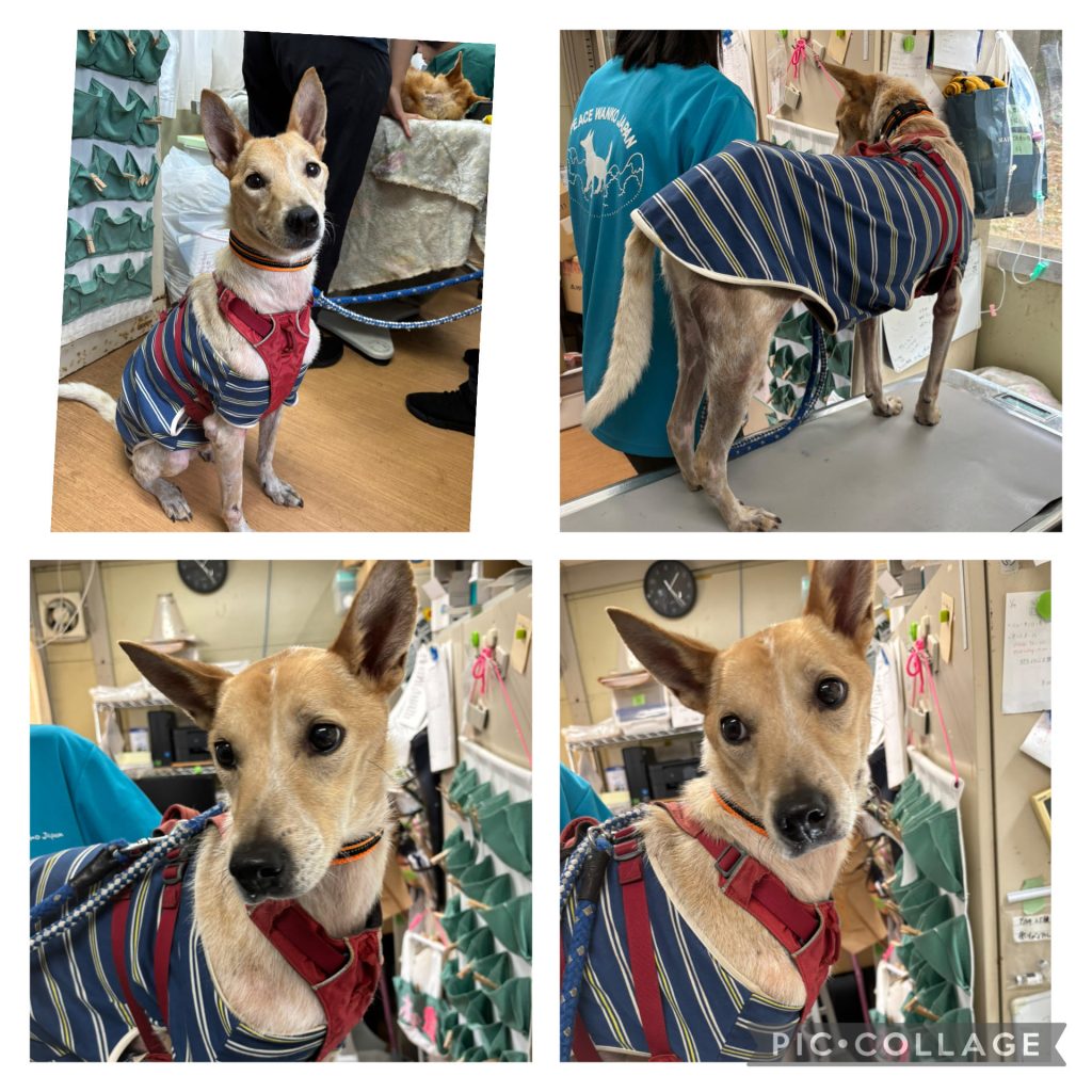 7d1f122b6328854c91baf26e858ba2e5