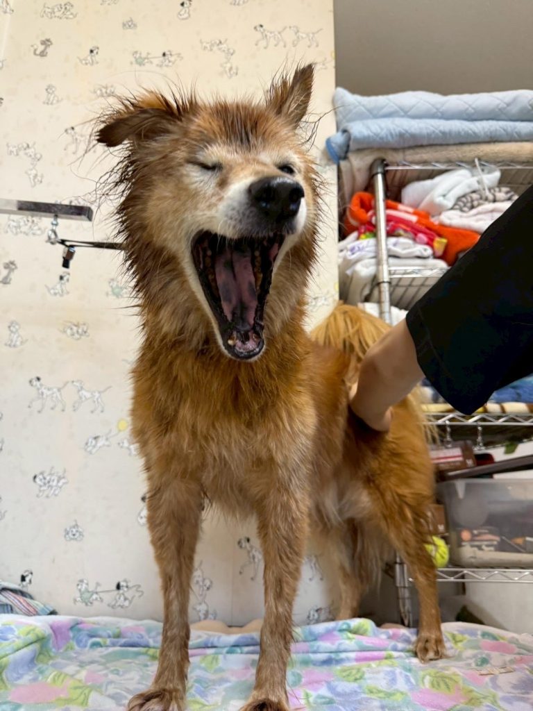 ed515d72354f48c82636ea2b19f7c45c