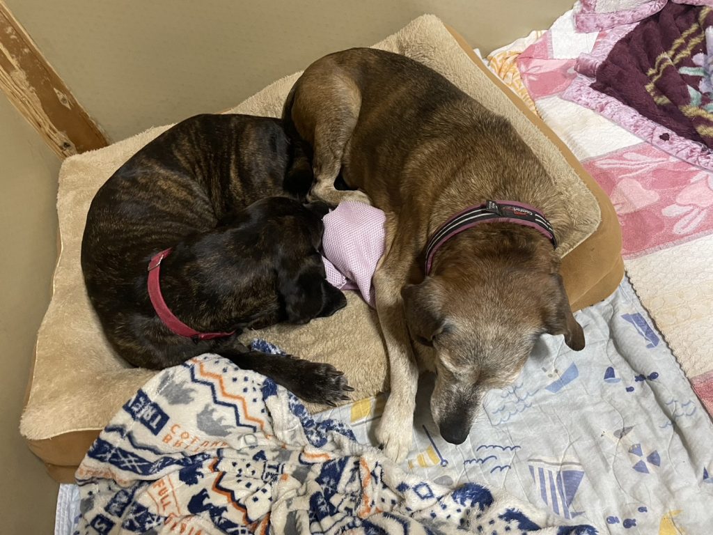 7d9175e6ae5ccf4b1610092911444e47