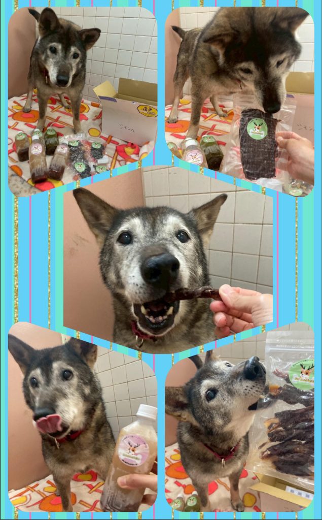 aa5c67357d6ebfeaf568f153f71a94a6 1