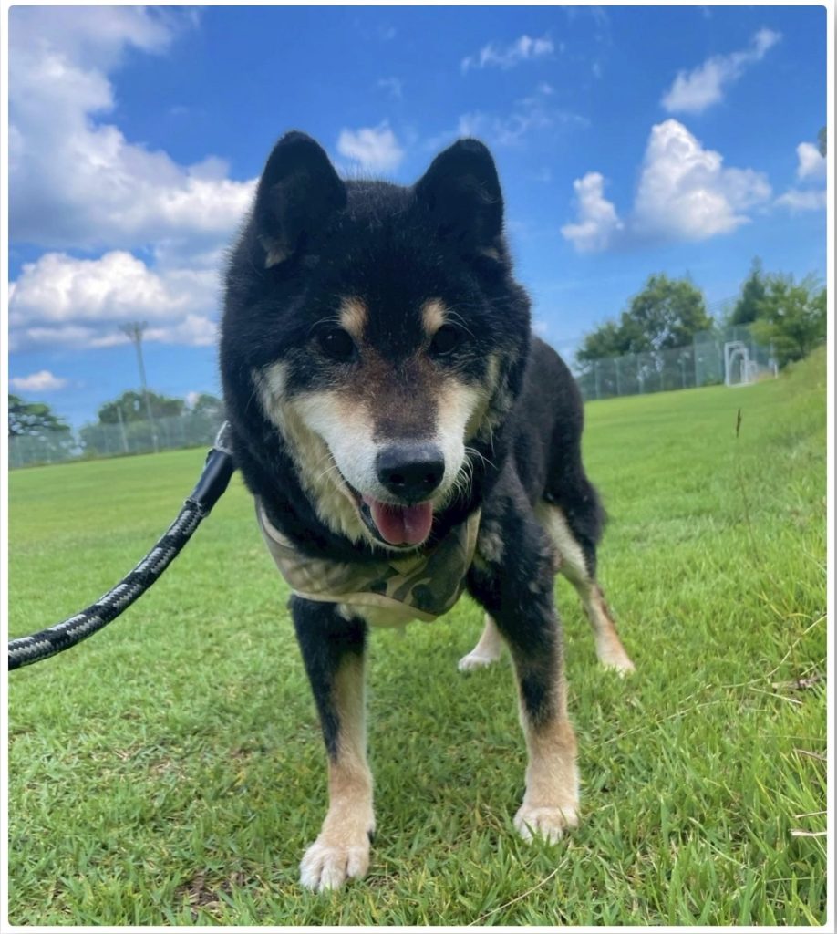 d7232931373fbefe85264959388eb1e7