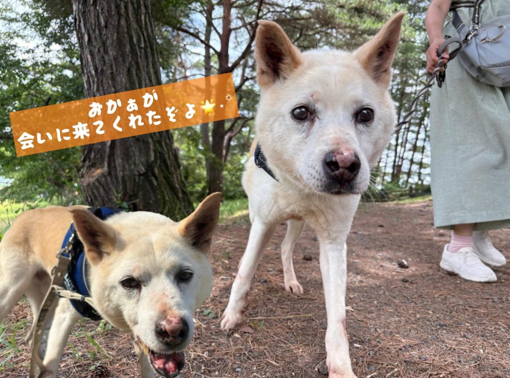 4f0a623bdd41b7fa906e06d3dec9ce58