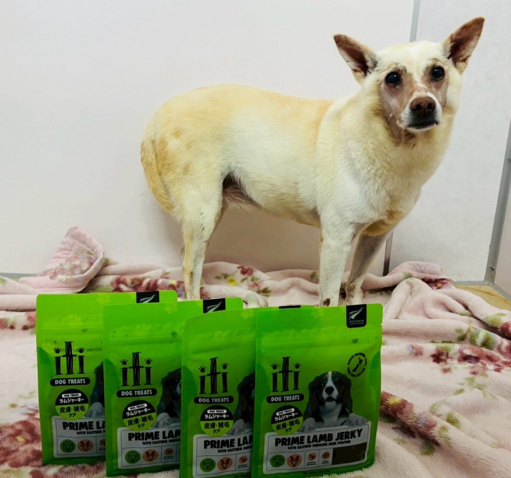 3b843950cb1e1f5da5070fab27caaaf0 1