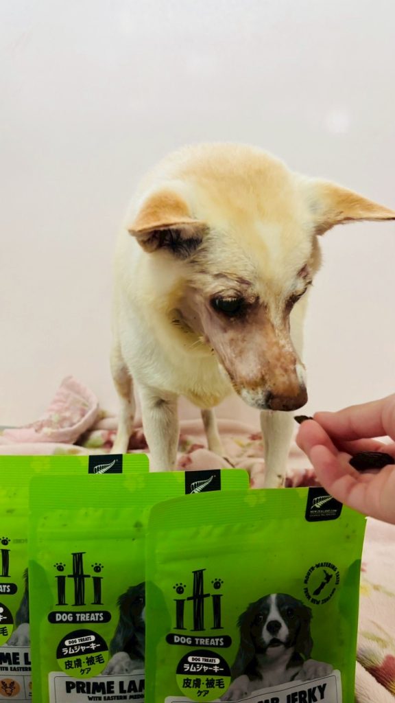 67aeb64f9aa925db5cc37d16685316fa