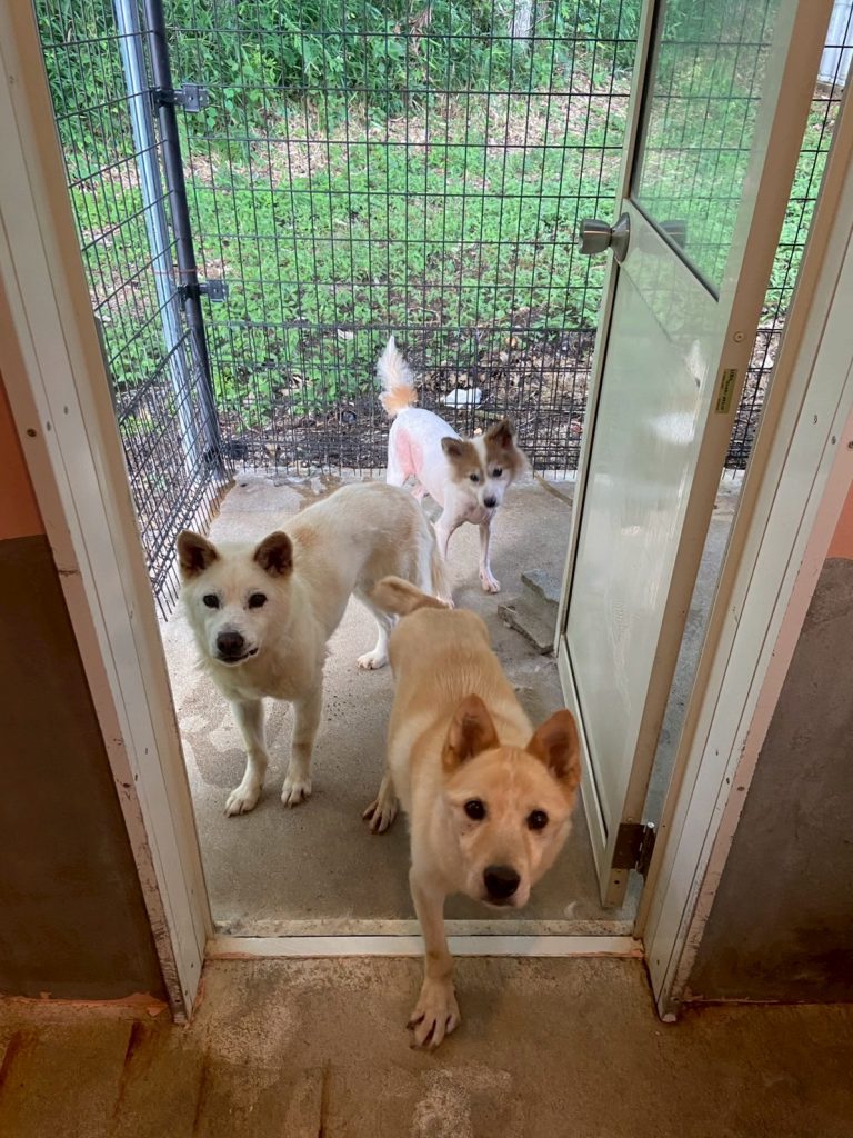 f830151364795ad6a24d1fb15b06f074 1