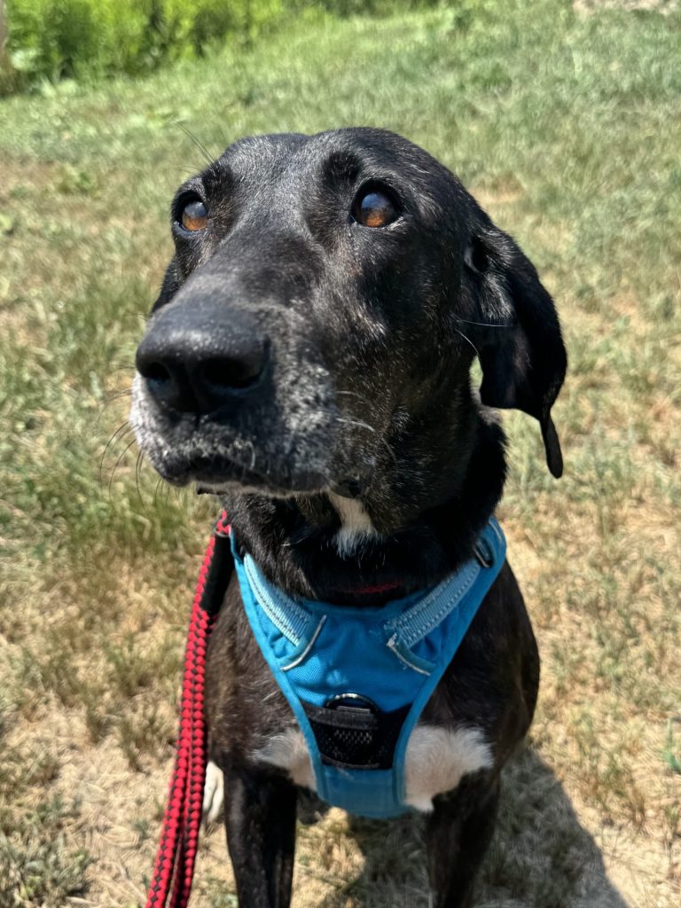 b9fa6990791885d41075a5ff334a53a6