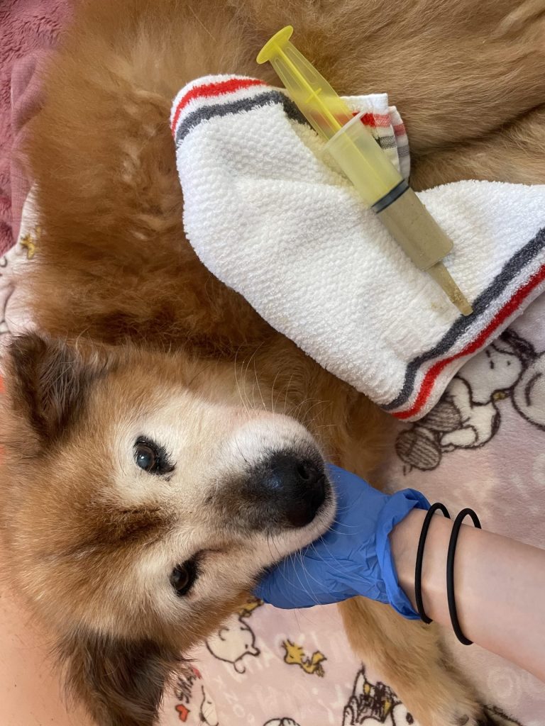 96c5e7083b7f5e75861df96bdf02a35c 1