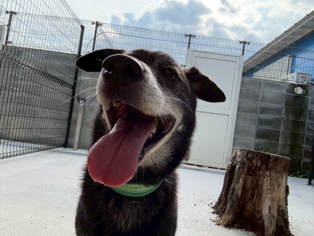 24a43615bbe72df974b2cf5d530742df 1