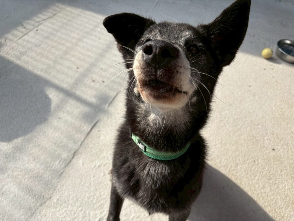 4e96ba4a726c1de582a2b46442be9e90 3