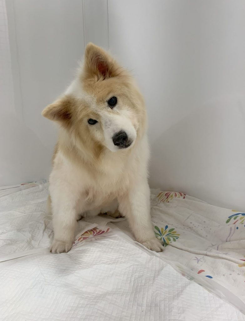 5908513dc3f9c6648a8f9b108d8dd289 1