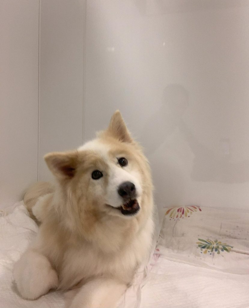 4c2ab30a29a251fc724cd2c291cecca0 1