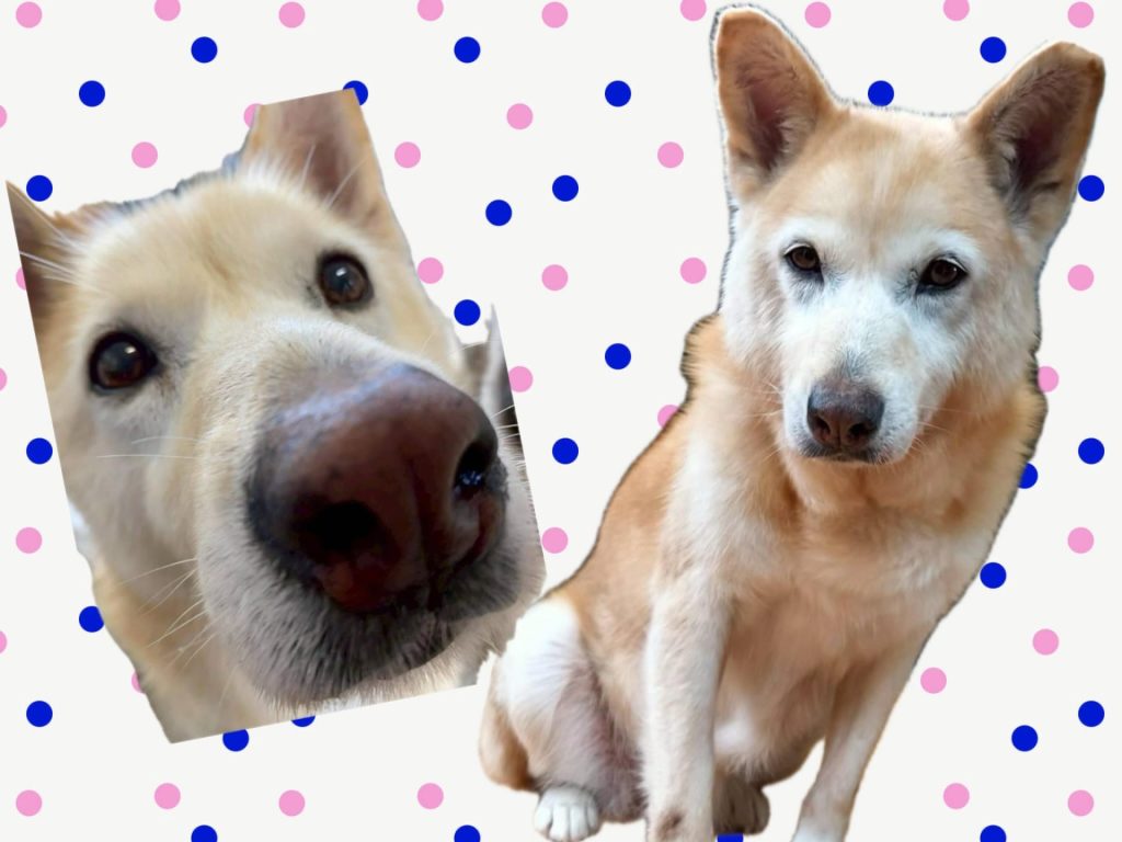 eb7da564b15c8ab8d1081f5d8018f950 1