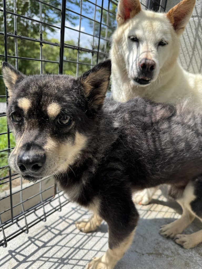 890c56827e3dbfcfe0559cfed07e2db8