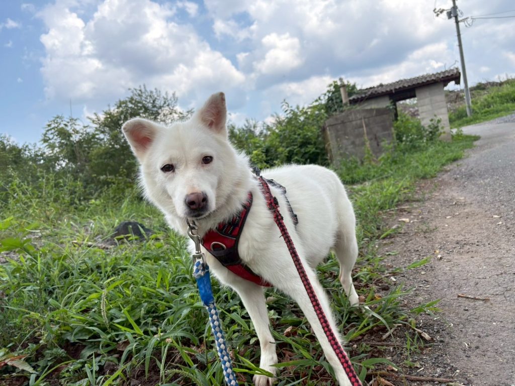 f3dd01fee0aa4a5897dcf26669b8d6e1 1