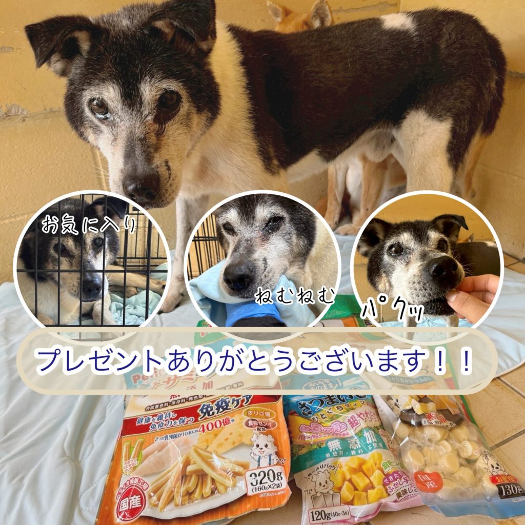 068a7c37f21f55f81b6599c2e2df99f6