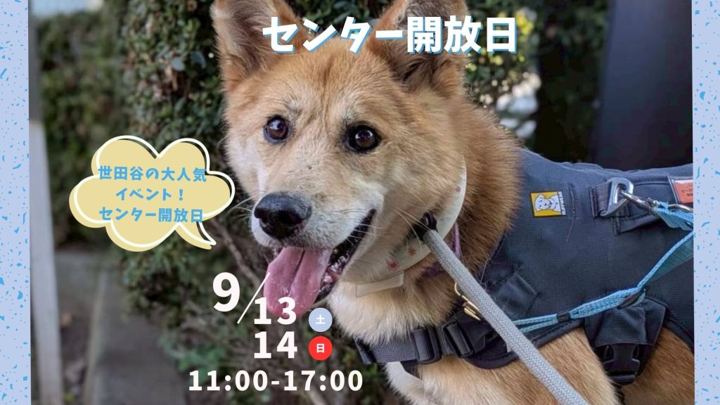 【ピースワンコのイベント】9/13(土)、14(日)センター開放日「保護犬に会いに行こう!」(世田谷譲渡センター) 2 2ceb7ad230abf4017ca4fd8682cbd38a