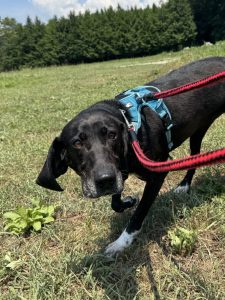 d1c6bed3ea3355ee02b09f87083a8ae5 1