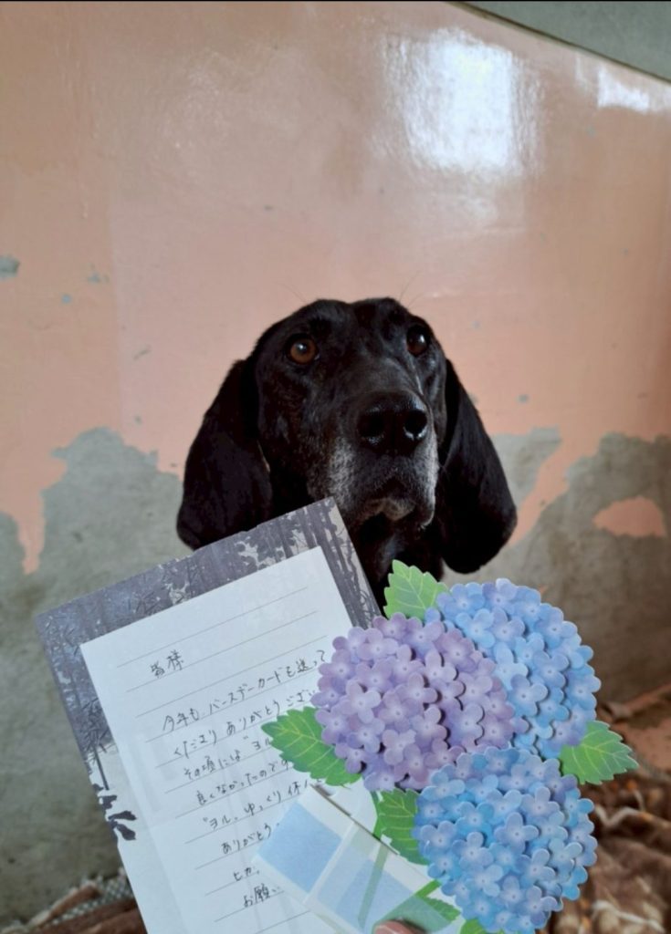 d1c6bed3ea3355ee02b09f87083a8ae5