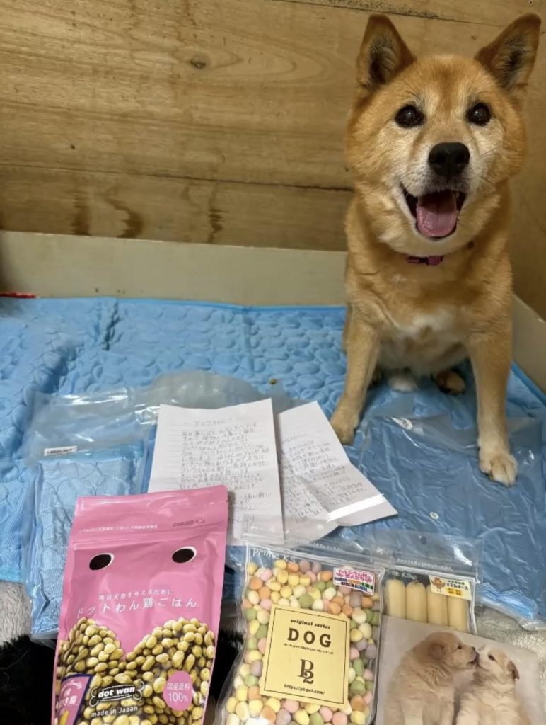 9d66c445b4fa769e751a876a7295fe60