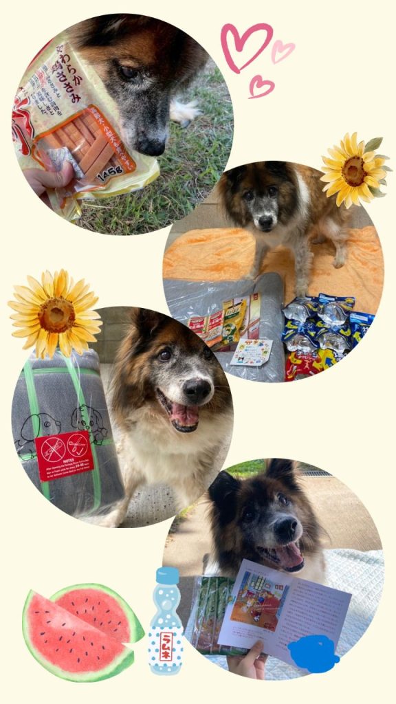 9dc934e9d73fad756ad230877882ac18 2