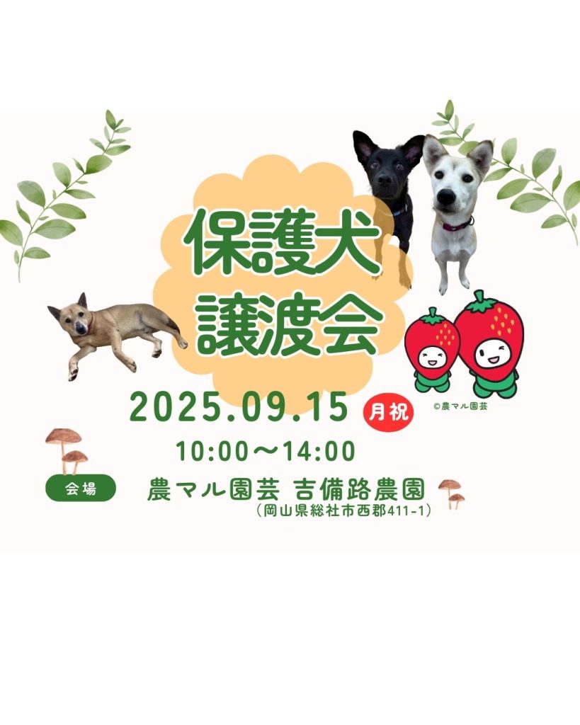 6f5cdf2d4ec3137fa705e5420b2a85a2