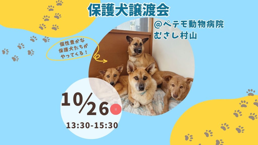 46cc901ada082a536a130288e9751f46