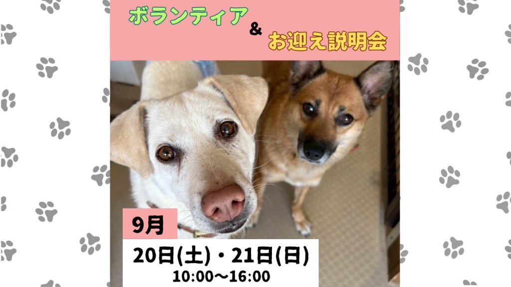 281792ef4c9e84a805f73afe5d205154