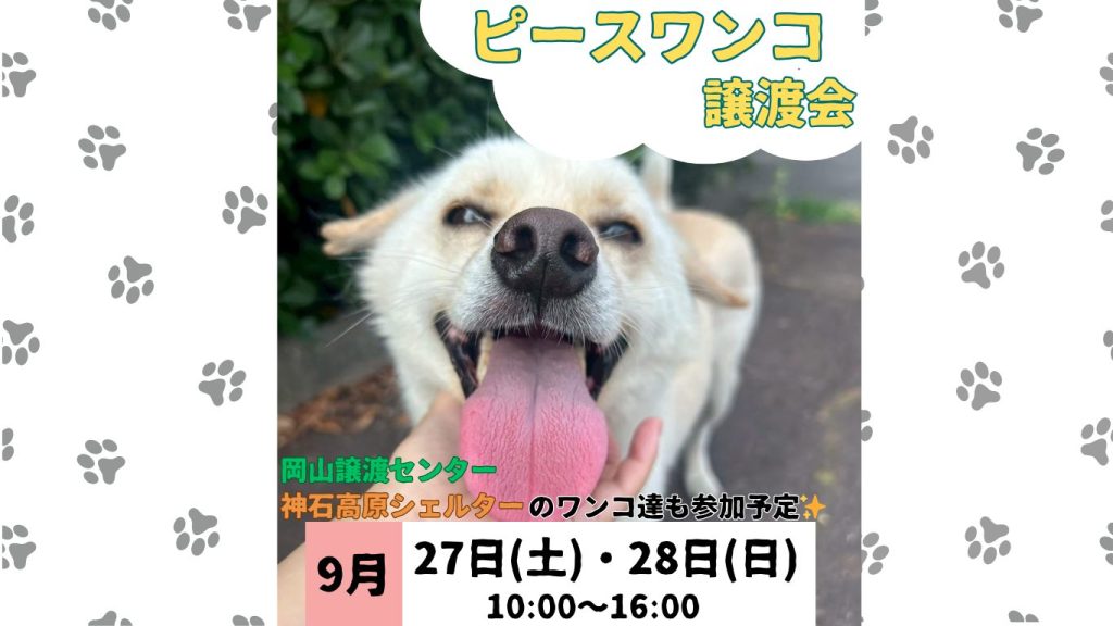 e4b48e56a3ce4a7ef2e39586318363aa