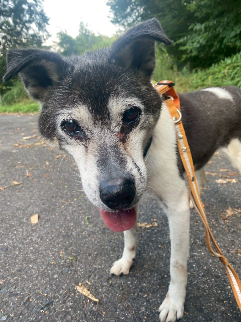 f4c5fed50aa15a95d44f0a5aeca86270