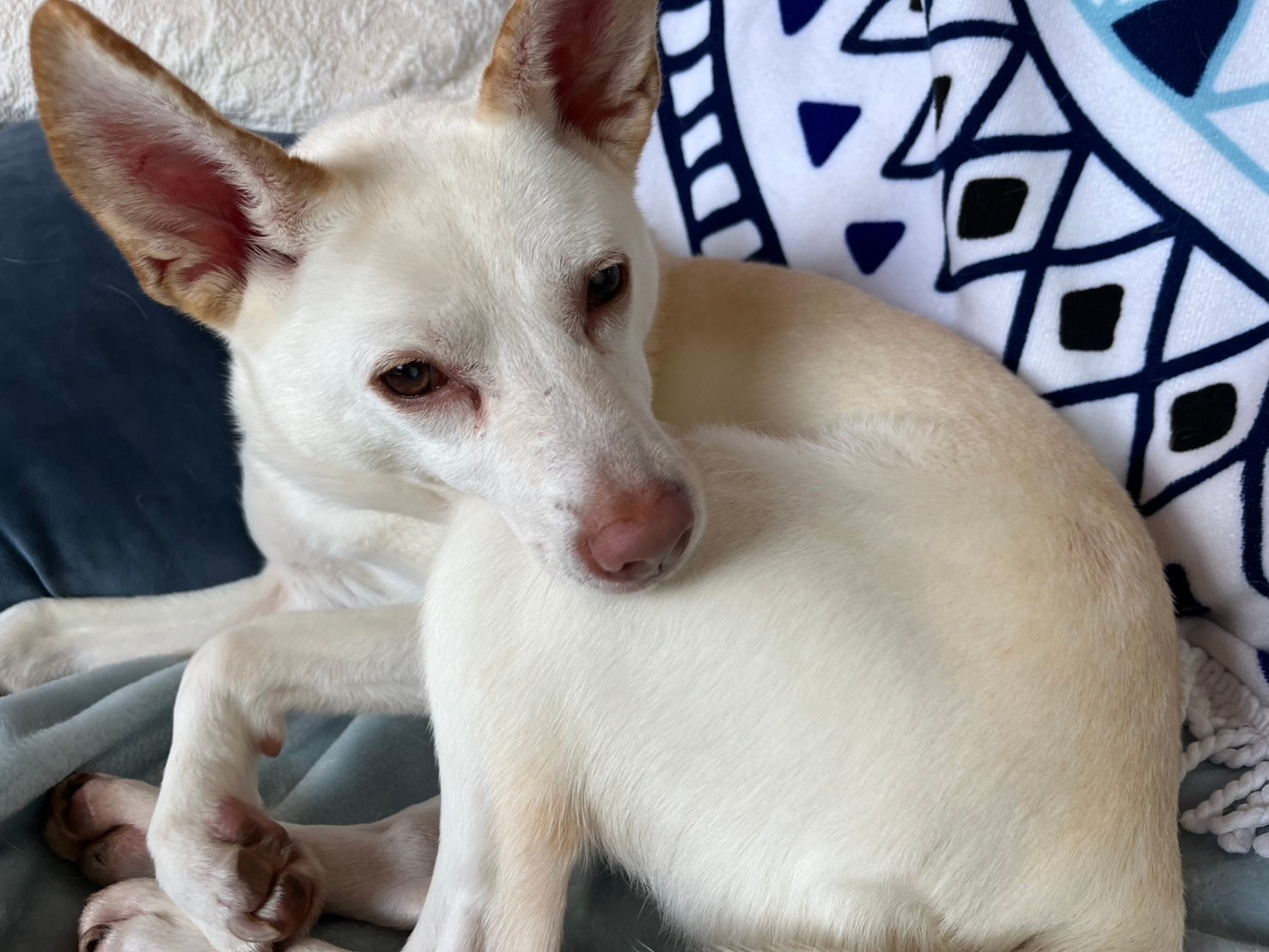 0c1160c26bb04f1939238e4cdccde495