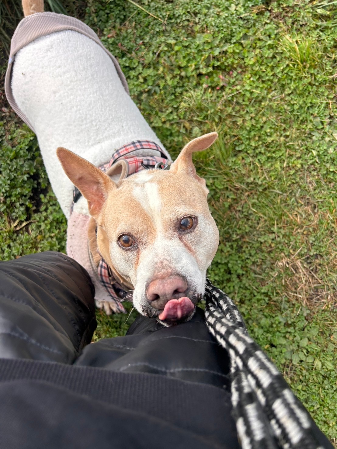 0921fa6d44754b3931b297e395db190f