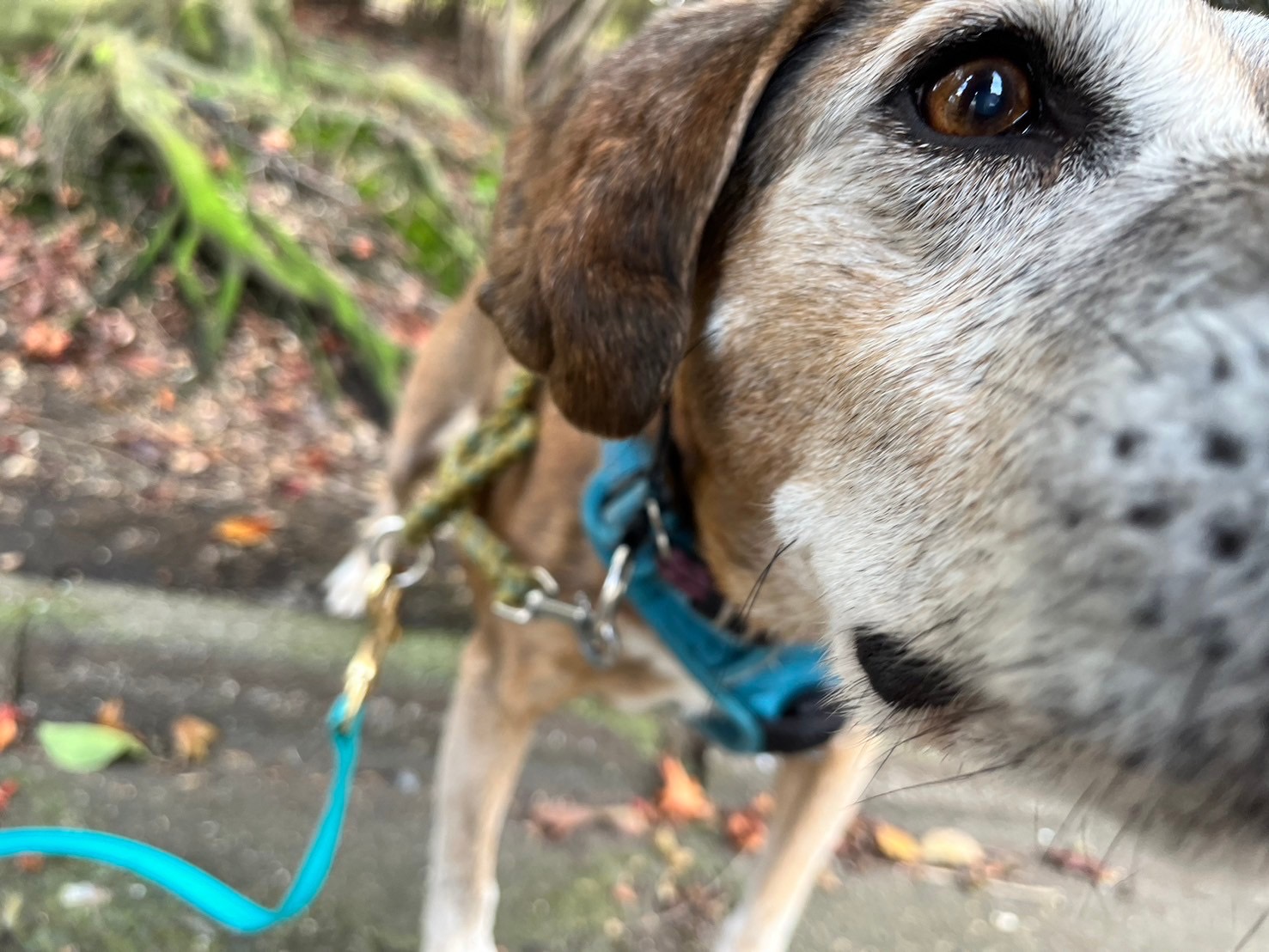 3aaeb42ab3c2d7cc147bac3bc25ae420