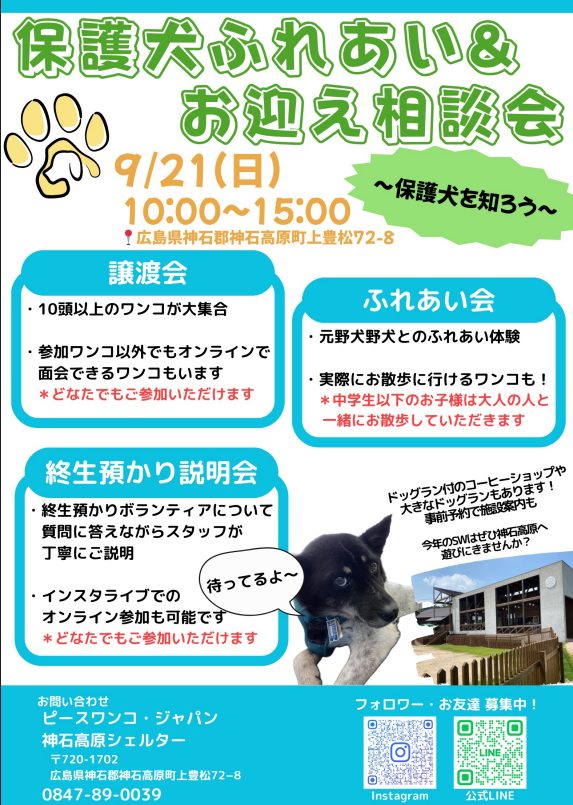 【ピースワンコの譲渡会】9/21(日)「保護犬ふれあい&お迎え相談会」を開催(広島/神石高原町) 11 6a6c9b88cc1b25d9882beada463d01a1