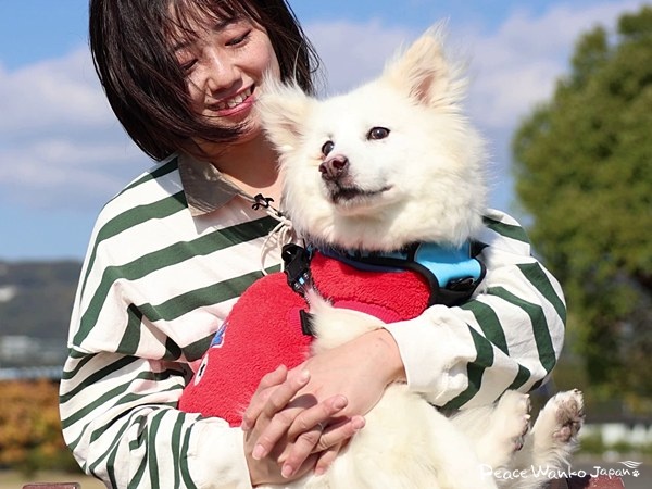 密着!元野犬の保護犬がおうちに来たらどうなるか? 2 20250522 1 1