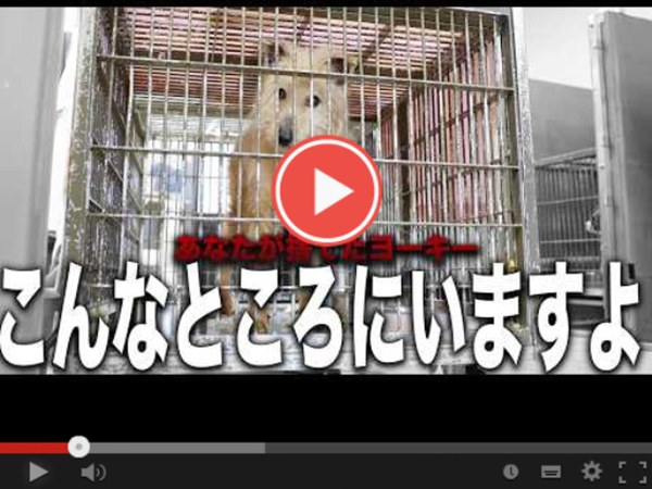 d869c9d54b227b130249ac695f546079