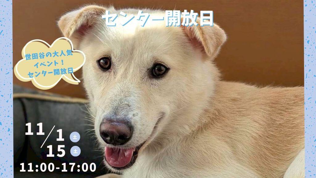 【ピースワンコのイベント】11/15(土)センター開放日「保護犬に会いに行こう!」(世田谷譲渡センター) 8 f6777178a742227b4e0e1f8004f62c39