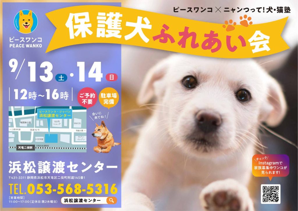 【ピースワンコのイベント】9/13(土)、14(日)『保護犬ふれあい会』を開催(浜松譲渡センター) 5 1757401207190