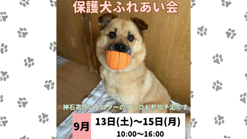 e1e51e290613e7858552f2cadf603be2