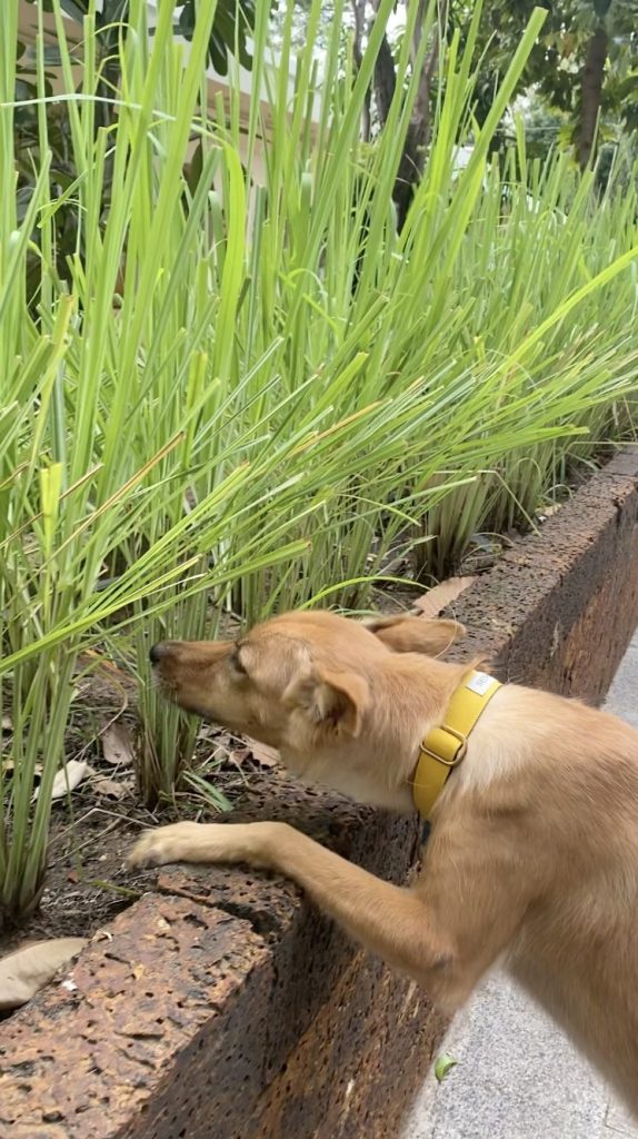 dc8fcafa7ec46b479d1c83ee8aa88718