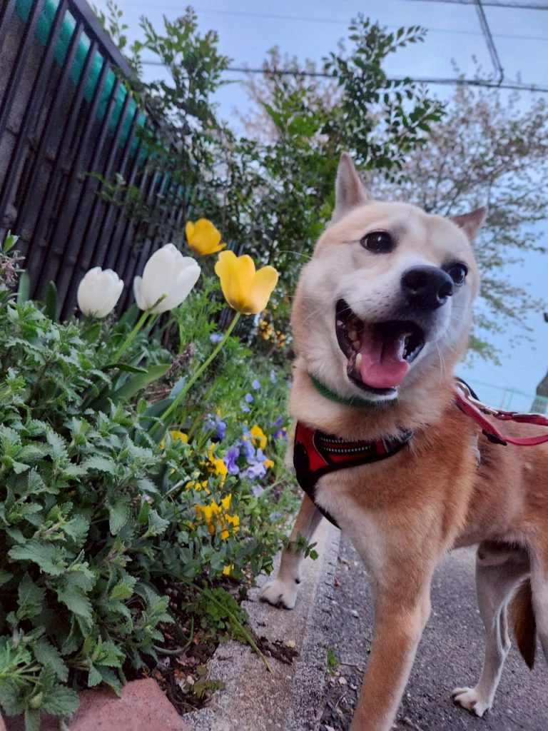 01a729256e7c114c87ee32e277c396eb