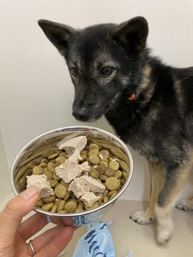 d9edda868b1334a5d90a7158791a70c5