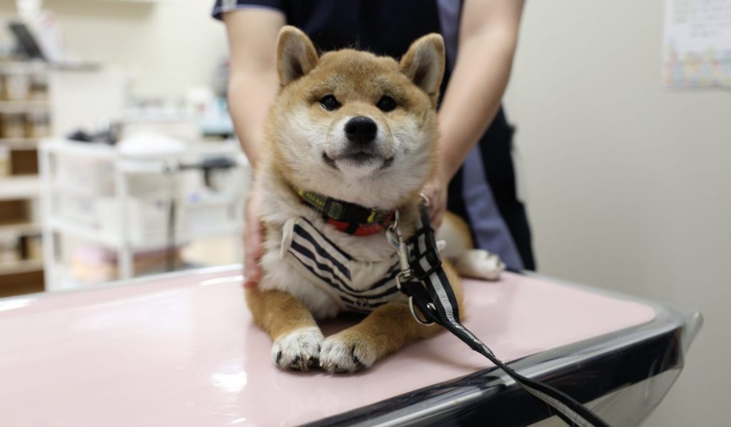 7206d842cffad3128da634d5c1dfb567